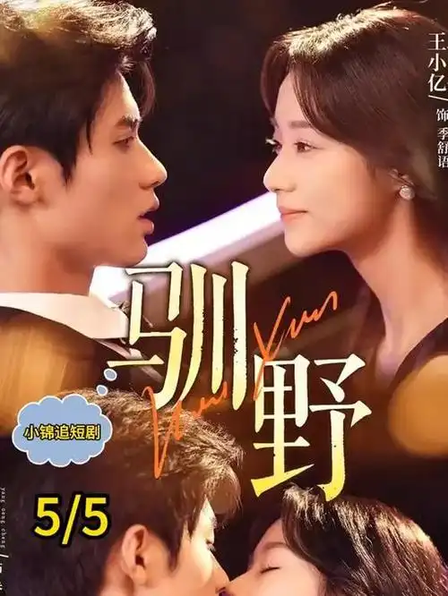 盲心千金 短剧海报